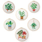 Embroidery Kit - Plant Design #3 (No hoop)