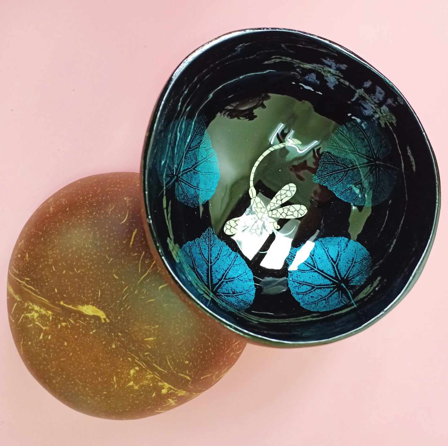 Art x Nature™ Organic Dragonfly-Lacquered Coconut Bowl