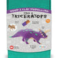 Fiesta Crafts - Wood & Clay Craft Kit Make A Dinosaur Triceratops T-2957